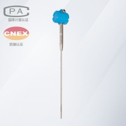 AIFLI-DTM-G2421管道粉尘浓度检测仪